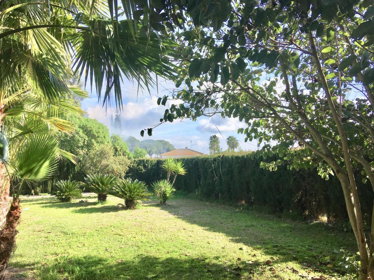 Dorotea Chalet El Rompido
